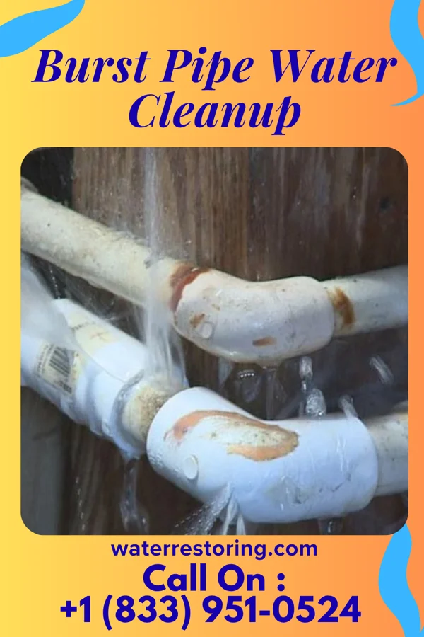 Burst Pipe Water Cleanup in Bruin, PA