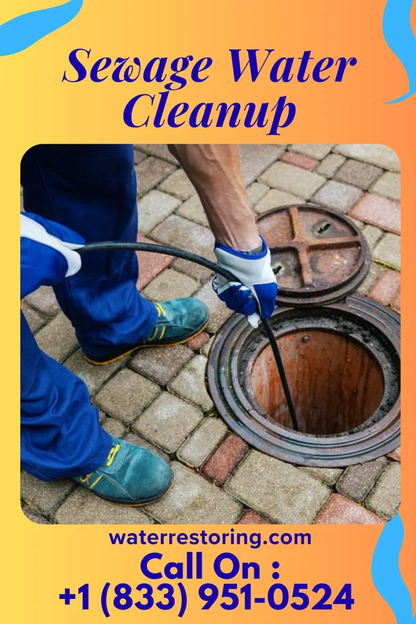 Sewage Water Cleanup in Bruin, PA